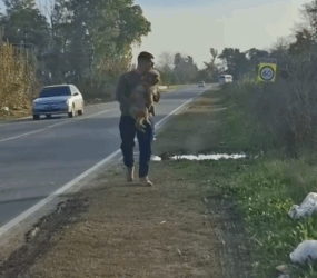 Part2 Animals Rescue #dogrescue #rescuedog #dogsofttiktok #foryoupage #foryou #dogs