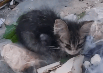 Can’t believe I actually noticed her_part2