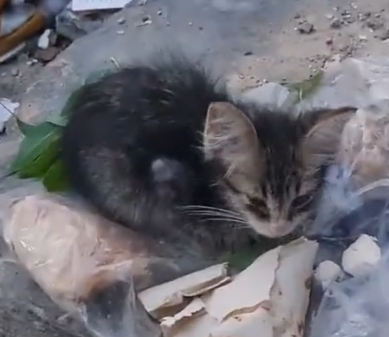 Can’t believe I actually noticed her_part2