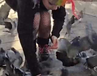 Meet The Real Life Pigeon Lady_part2
