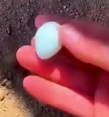 A Path to New Beginnings🌿🐦_part2