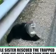 Girls Rescued A Bear And Rised Her At Home_part2