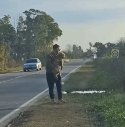 Part2 Animals Rescue #dogrescue #rescuedog #dogsofttiktok #foryoupage #foryou #dogs