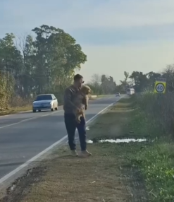 Part2 Animals Rescue #dogrescue #rescuedog #dogsofttiktok #foryoupage #foryou #dogs