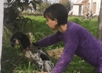 Part2 Animals Rescue #dogrescue #rescuedog #dogsofttiktok #foryoupage #foryou #dogs