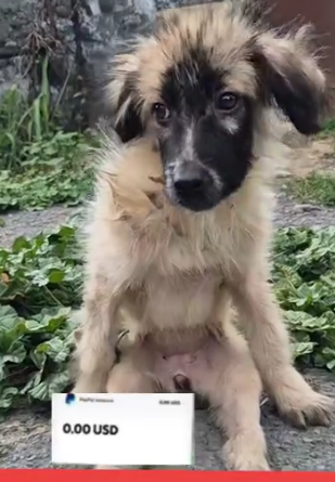 please friends you’re the only hope I have to help me in this situation please_part2