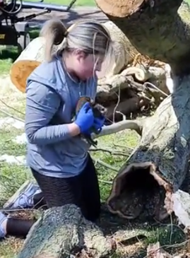 The girl found a little of baby raccoons and raised them #rescue #animals #animalsoftiktok_part2