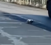 Hidden Camera Captures Man’s Unexpected Act of Kindness Toward a Stray Dog_part2