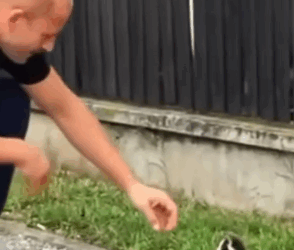 Man finds lost cat and brings it home, the next day something unbelievable happens_part2