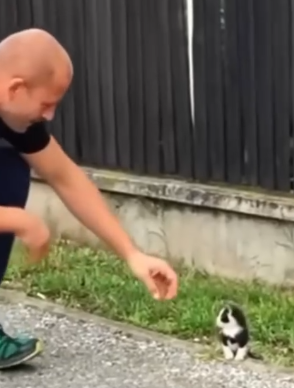 Man finds lost cat and brings it home, the next day something unbelievable happens_part2