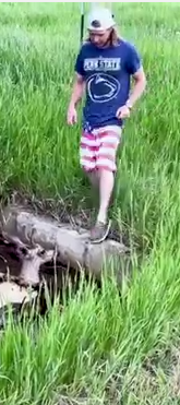 Rescued Deer Follows Man Home😍🦌_part2