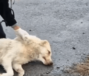 This emotional story break your heart_part2