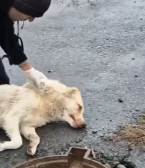 This emotional story break your heart_part2