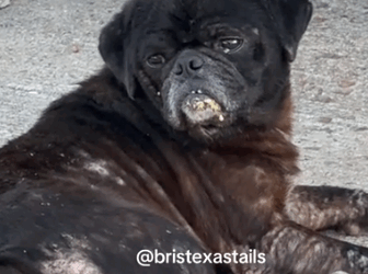 I’m not surprised any more by what I come across in Houston._part2