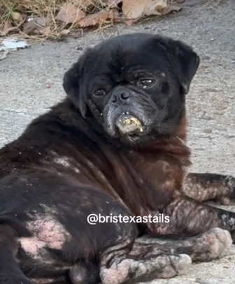 I’m not surprised any more by what I come across in Houston._part2