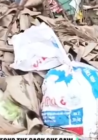 Part2 Animals Rescue #dogrescue #rescuedog #dogsofttiktok #foryoupage #foryou #dogs