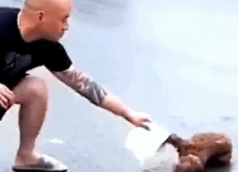 Rescued a Puppy from a Dangerous Situation on the Road_part2