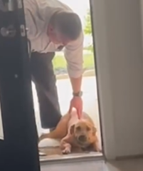 Guy Comes Home From Work With A Stray Dog_part2