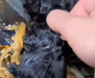 Thrown like trash still breathing…_part2