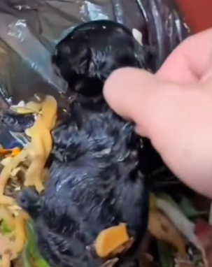 Thrown like trash still breathing…_part2