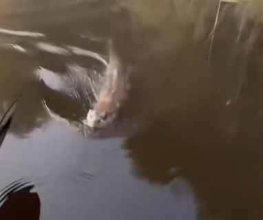 Poor Life Almost Crushed Under Neglect_part2