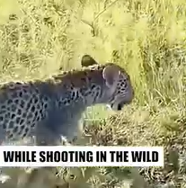 While Shooting in the Wild Women Rescued_part2