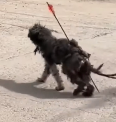 Part2 Animals Rescue #dogrescue #rescuedog #dogsofttiktok #foryoupage #foryou #dogs