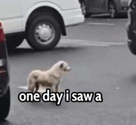 She waited for an Owner Who Never Came Back… 💔🐶_part2