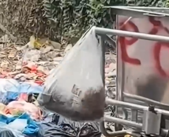 Who could leave a puppy like this_part2