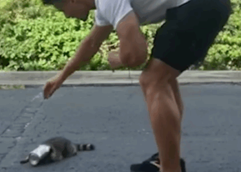 Big Guy Rescues Tiny Raccoon Who Got His Head Stuck_part2