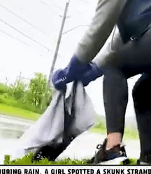 Part2 Animals Rescue #dogrescue #rescuedog #dogsofttiktok #foryoupage #foryou #dogs