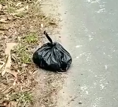 Part2 Animals Rescue #dogrescue #rescuedog #dogsofttiktok #foryoupage #foryou #dogs