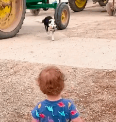 Dog Picks The Exact Right Home To Wander Up To_part2