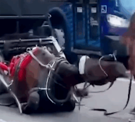 We got never-seen-before footage they don’t want you to see but it’s so, so important_part2