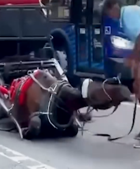 We got never-seen-before footage they don’t want you to see but it’s so, so important_part2