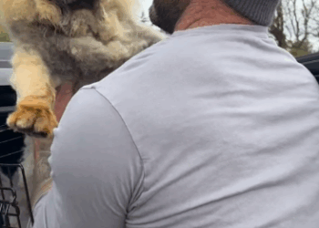 Blind Forever Puppy Melts In His New Dad’s Arms_part2