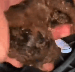 A walking skeleton with the will to live_part2