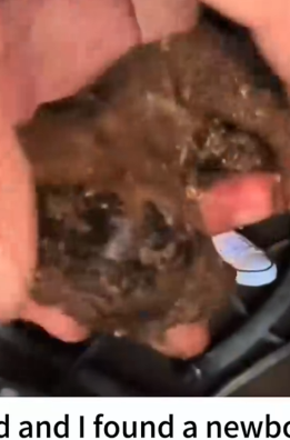 A walking skeleton with the will to live_part2