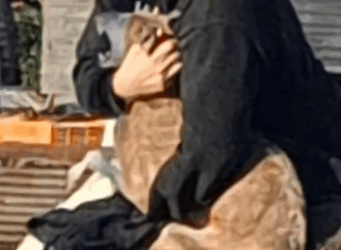 Part2 Animals Rescue #dogrescue #rescuedog #dogsofttiktok #foryoupage #foryou #dogs