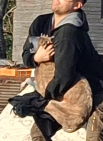 Part2 Animals Rescue #dogrescue #rescuedog #dogsofttiktok #foryoupage #foryou #dogs