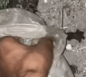 While I was walking I found a kitten in difficulty on the ground❤️ #heroes #rescue #kitten #abandoned_part2