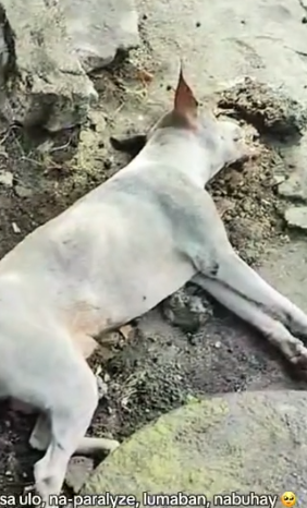 I still remember when Doc said, “Ma’am, critical po si Gelo. He may not make it tonight.” Pero ngayon,_part2