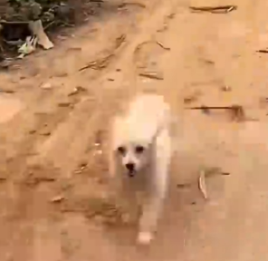 Can you believe what happened_part2