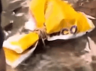 A Baby Dog Founded Trapped in A Small Confined Space_part2