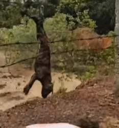 Hanging helpless but Saved_part2