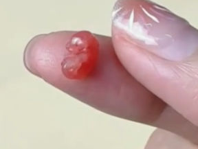 I accidentally found a small creature in the grass, took it home, and then_part2