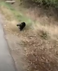 Look How Happily This Gorgeous Baby Is Saved_part2