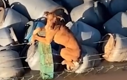 Part2.Animals Rescue #dogrescue #rescuedog #dogsofttiktok #foryoupage #foryou #dogs