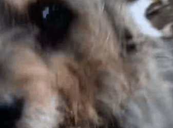 He’d lived like this for five years — wait to see how he reacts to being in a home for the very first time_part2