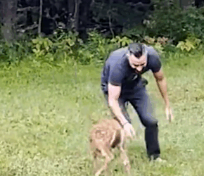 Part2 Animals Rescue #dogrescue #rescuedog #dogsofttiktok #foryoupage #foryou #dogs